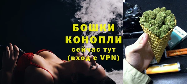 ГАЛЛЮЦИНОГЕННЫЕ ГРИБЫ Богданович