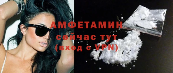 ГАЛЛЮЦИНОГЕННЫЕ ГРИБЫ Богданович