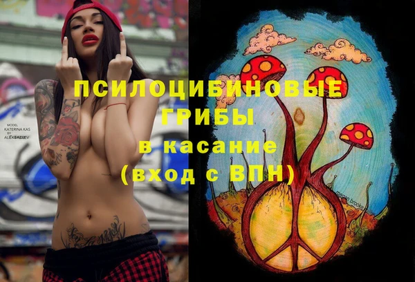 хмурый Богородицк