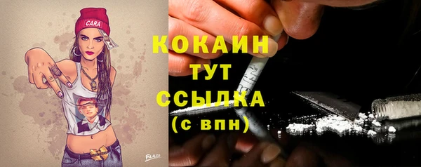 хмурый Богородицк