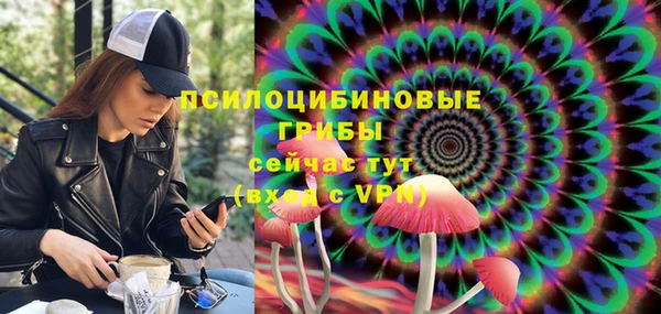 хмурый Богородицк