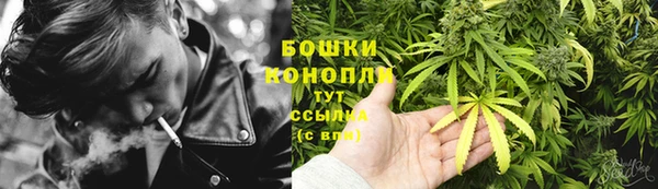 ГАЛЛЮЦИНОГЕННЫЕ ГРИБЫ Богданович