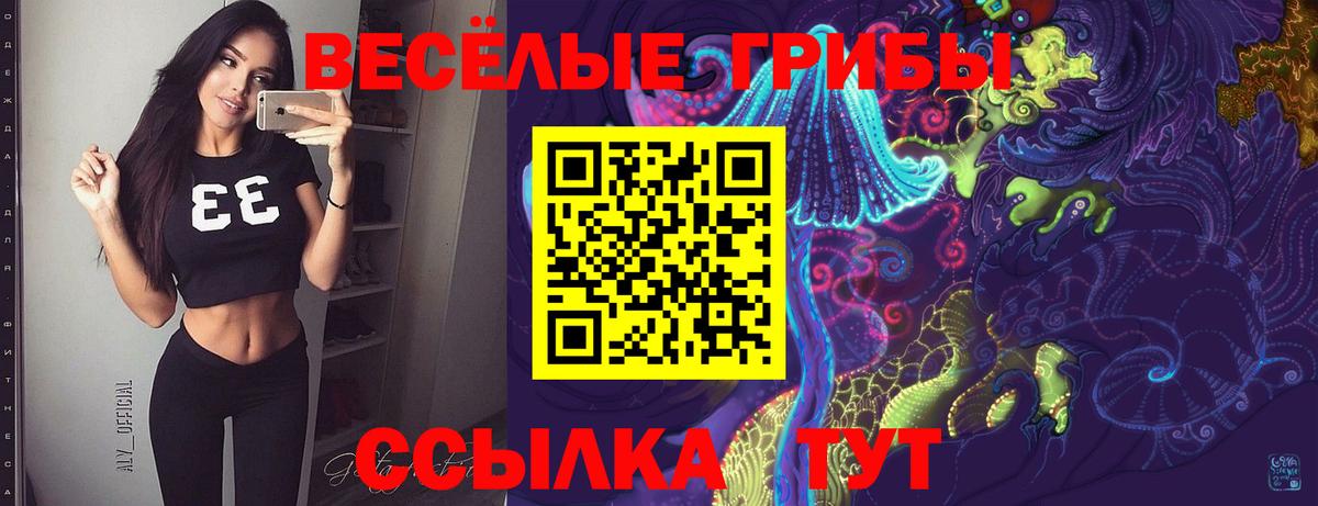 Псилоцибиновые грибы Cubensis  Вход с VPN  где купить наркоту  Свободный 
