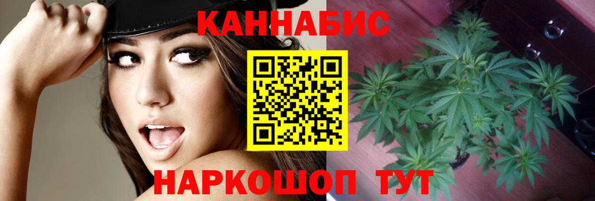 Бошки Шишки индика  Вход с VPN  Свободный  Шишки марихуана MAZAR 